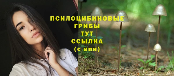 ешки Алексин