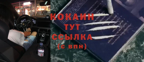 ПСИЛОЦИБИНОВЫЕ ГРИБЫ Алзамай