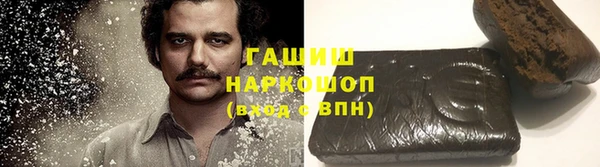 ешки Алексин