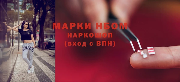 ешки Алексин