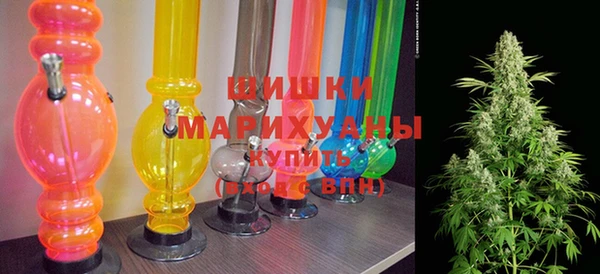 ПСИЛОЦИБИНОВЫЕ ГРИБЫ Алзамай