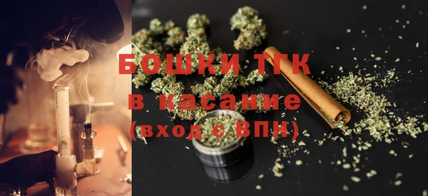 ПСИЛОЦИБИНОВЫЕ ГРИБЫ Алзамай