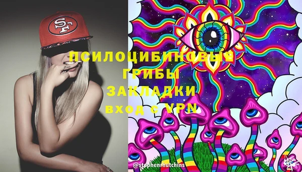 ПСИЛОЦИБИНОВЫЕ ГРИБЫ Алзамай
